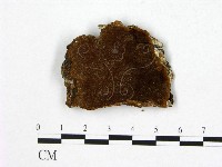 登錄號:F0005875藏品圖，第1張