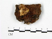 登錄號:F0005875藏品圖，第3張