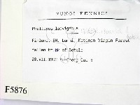 登錄號:F0005876藏品圖，第2張