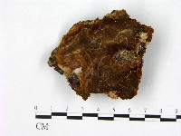 登錄號:F0005876藏品圖，第1張