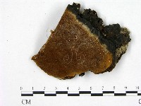 登錄號:F0005877藏品圖，第1張
