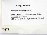登錄號:F0005878藏品圖，第2張