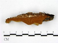 登錄號:F0005878藏品圖，第3張