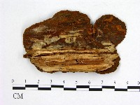 登錄號:F0005879藏品圖，第3張