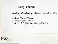 登錄號:F0005880藏品圖，第2張