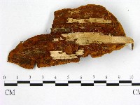 登錄號:F0005880藏品圖，第3張