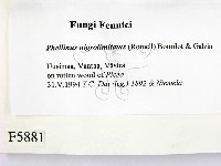 登錄號:F0005881藏品圖，第2張