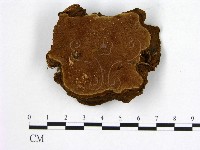 登錄號:F0005881藏品圖，第1張