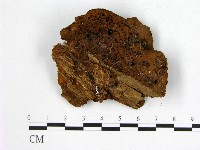 登錄號:F0005881藏品圖，第3張