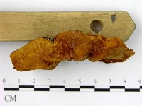 登錄號:F0005882藏品圖，第3張