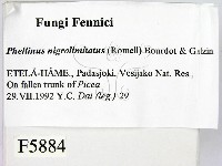 登錄號:F0005884藏品圖，第2張