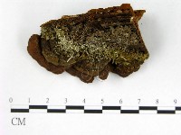 登錄號:F0005884藏品圖，第3張