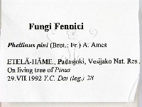 登錄號:F0005885藏品圖，第2張