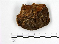 登錄號:F0005886藏品圖，第3張