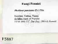 登錄號:F0005887藏品圖，第2張