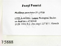 登錄號:F0005888藏品圖，第2張