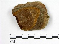 登錄號:F0005888藏品圖，第1張