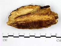 登錄號:F0005889藏品圖，第3張