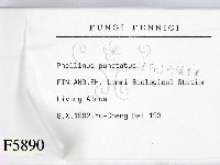 登錄號:F0005890藏品圖，第2張