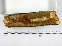 登錄號:F0005890藏品圖，第1張