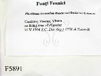 登錄號:F0005891藏品圖，第2張