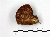 登錄號:F0005891藏品圖，第1張