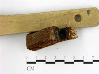 登錄號:F0005891藏品圖，第3張