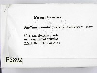 登錄號:F0005892藏品圖，第2張