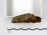 登錄號:F0005892藏品圖，第3張