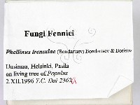 登錄號:F0005893藏品圖，第2張