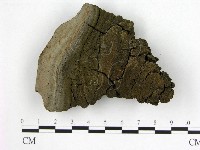 登錄號:F0005893藏品圖，第1張
