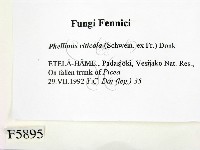 登錄號:F0005895藏品圖，第2張