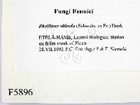 登錄號:F0005896藏品圖，第2張