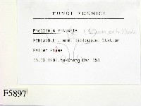 登錄號:F0005897藏品圖，第2張