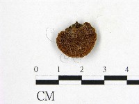 登錄號:F0005897藏品圖，第1張