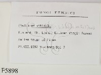 登錄號:F0005898藏品圖，第2張