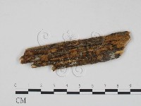 登錄號:F0005898藏品圖，第1張