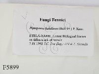 登錄號:F0005899藏品圖，第2張