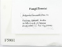 登錄號:F0005901藏品圖，第2張