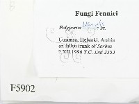 登錄號:F0005902藏品圖，第2張