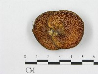 登錄號:F0005902藏品圖，第3張