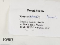 登錄號:F0005903藏品圖，第2張