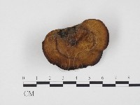 登錄號:F0005903藏品圖，第1張