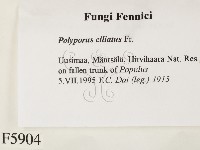 登錄號:F0005904藏品圖，第2張