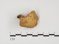 登錄號:F0005904藏品圖，第1張