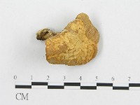 登錄號:F0005904藏品圖，第4張