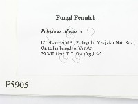 登錄號:F0005905藏品圖，第2張