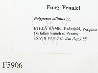 登錄號:F0005906藏品圖，第2張