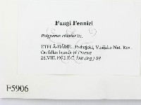 登錄號:F0005906藏品圖，第3張