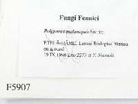 登錄號:F0005907藏品圖，第2張